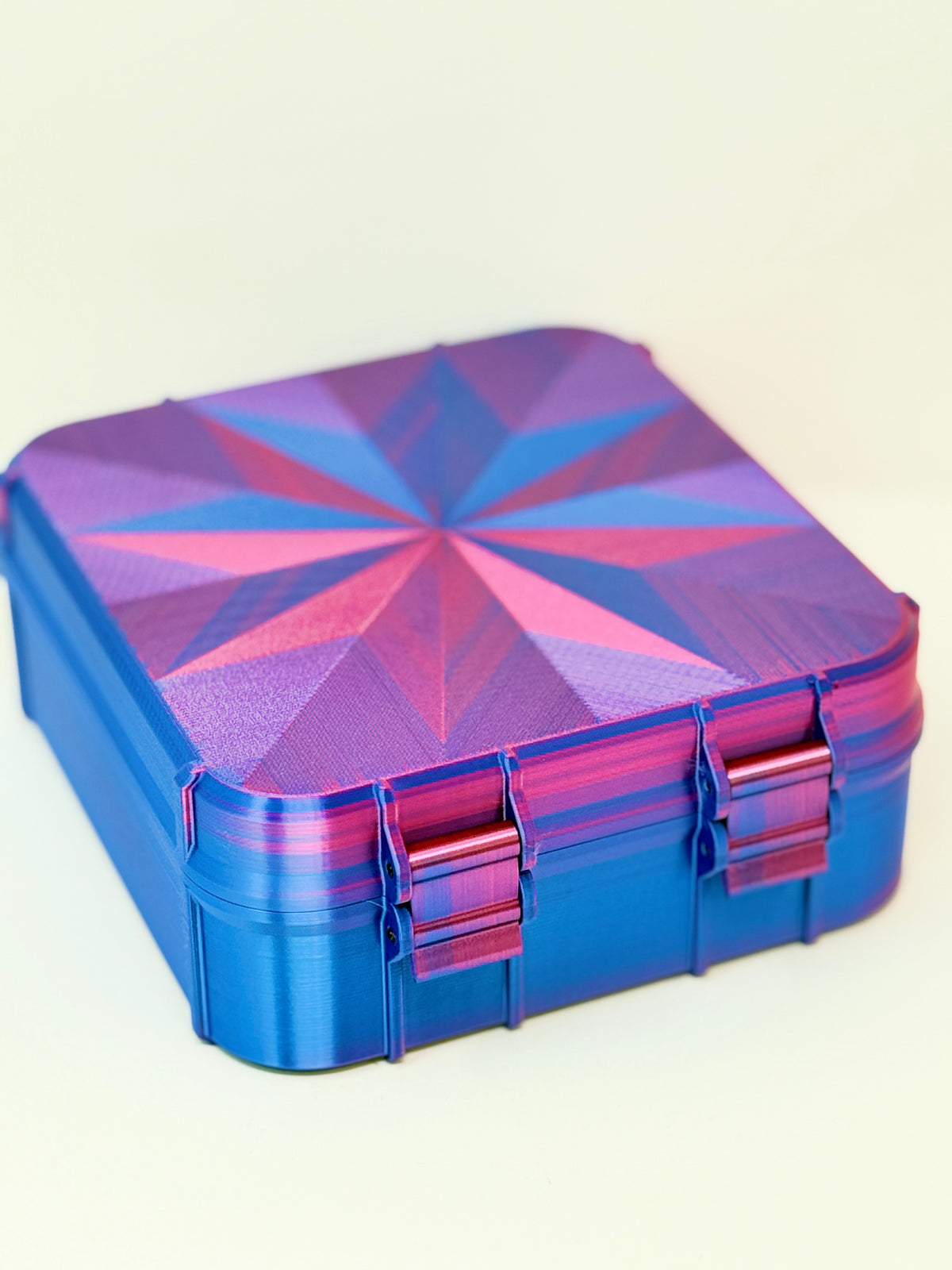 NIIMBOT B1 Carrying Case | Label Printer & 3-Roll Storage Organizer